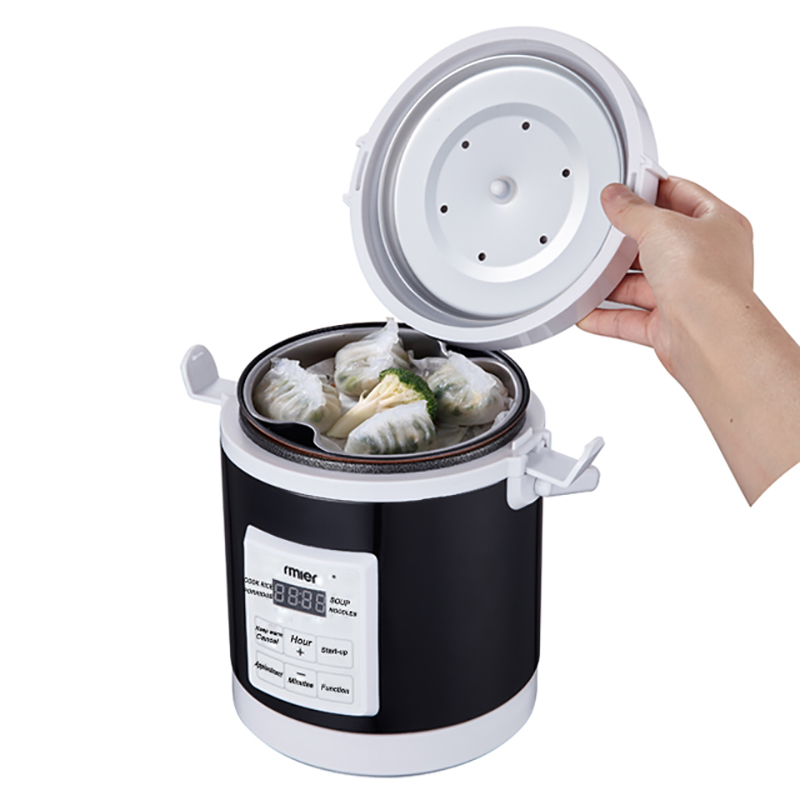 Camping Cooking Basket - ARIER 12-24V 220V Cuociriso Multifunzione, Vaporiera,